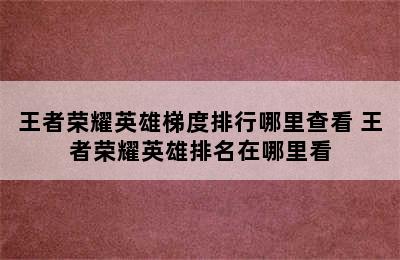 王者荣耀英雄梯度排行哪里查看 王者荣耀英雄排名在哪里看